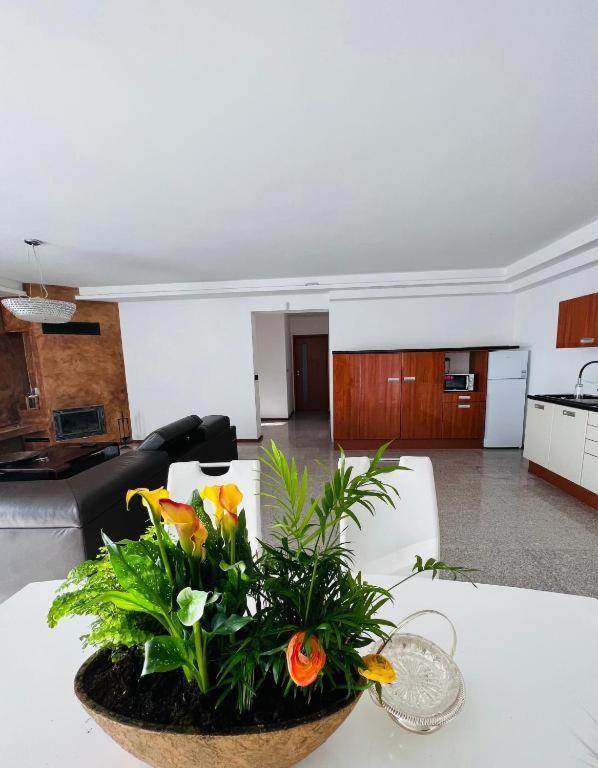 Koliba Apartments 2 ブラチスラヴァ エクステリア 写真